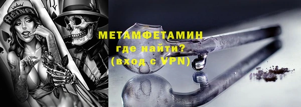 индика Инсар