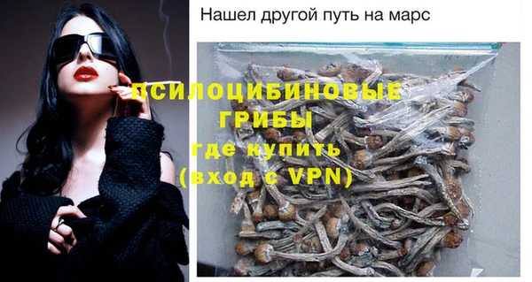 первитин Алексеевка