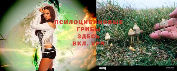 первитин Алексеевка