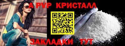 тгк Бердск