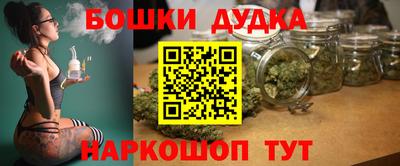 тгк Бердск