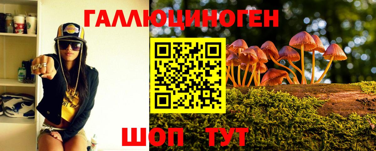 наркотики  Вход с VPN  Алексин  Галлюциногенные грибы Cubensis 