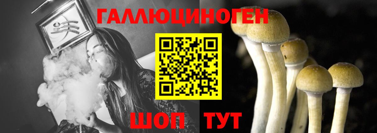 Псилоцибиновые грибы прущие грибы Алексин