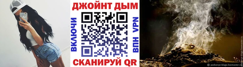 mega зеркало  Алексин  Бошки Шишки семена 